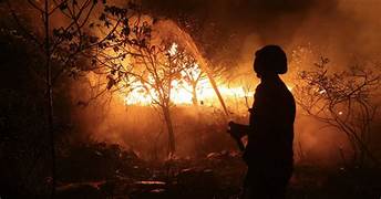 Centenas de bombeiros e 50 viaturas atuam no combate a incêndios florestais no interior da Bahia