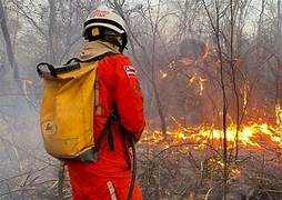Centenas de bombeiros e 50 viaturas atuam no combate a incêndios florestais no interior da Bahia