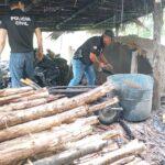 Civil e CAEMA desmontam carvoeiras clandestinas em combate a furto de madeiras em Posto da Mata