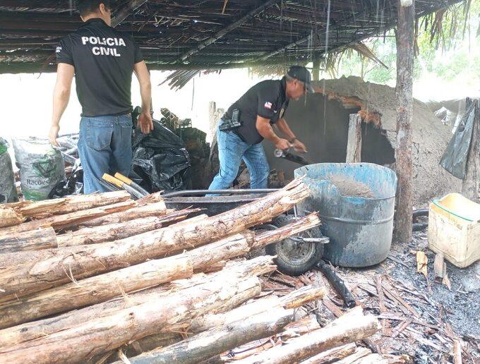 Civil e CAEMA desmontam carvoeiras clandestinas em combate a furto de madeiras em Posto da Mata