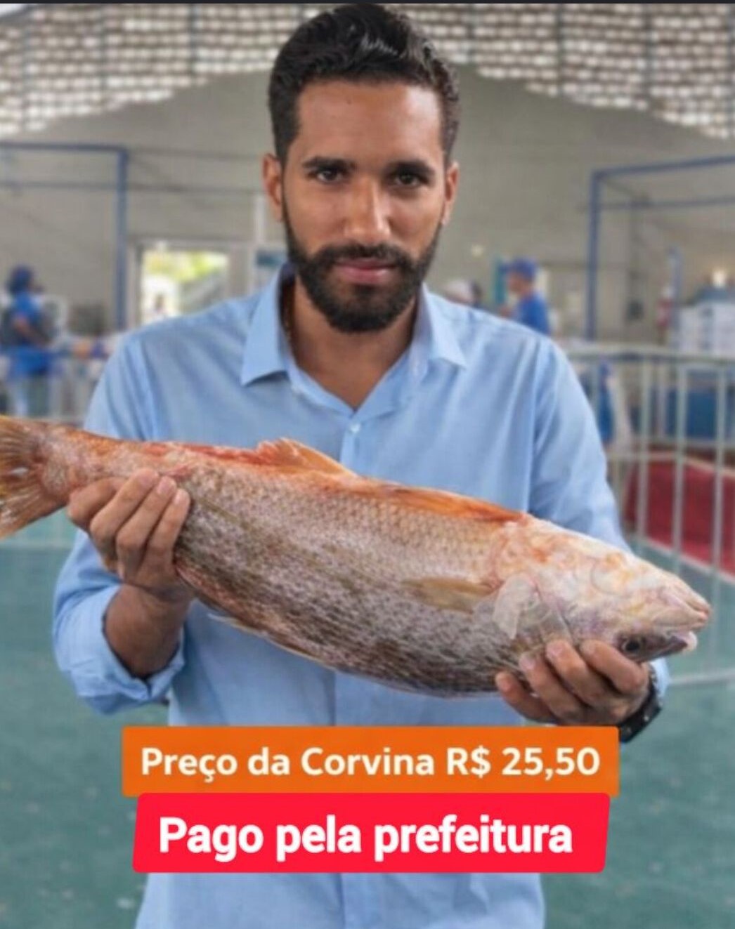 Peixes “superfaturados” voltam a colocar Jorge Almeida na berlinda